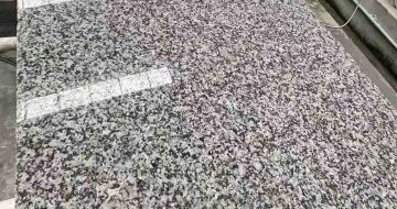 石家庄 芙蓉白光面
