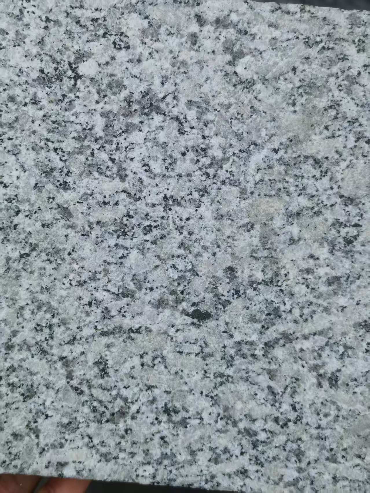 石家庄 芙蓉白火烧面