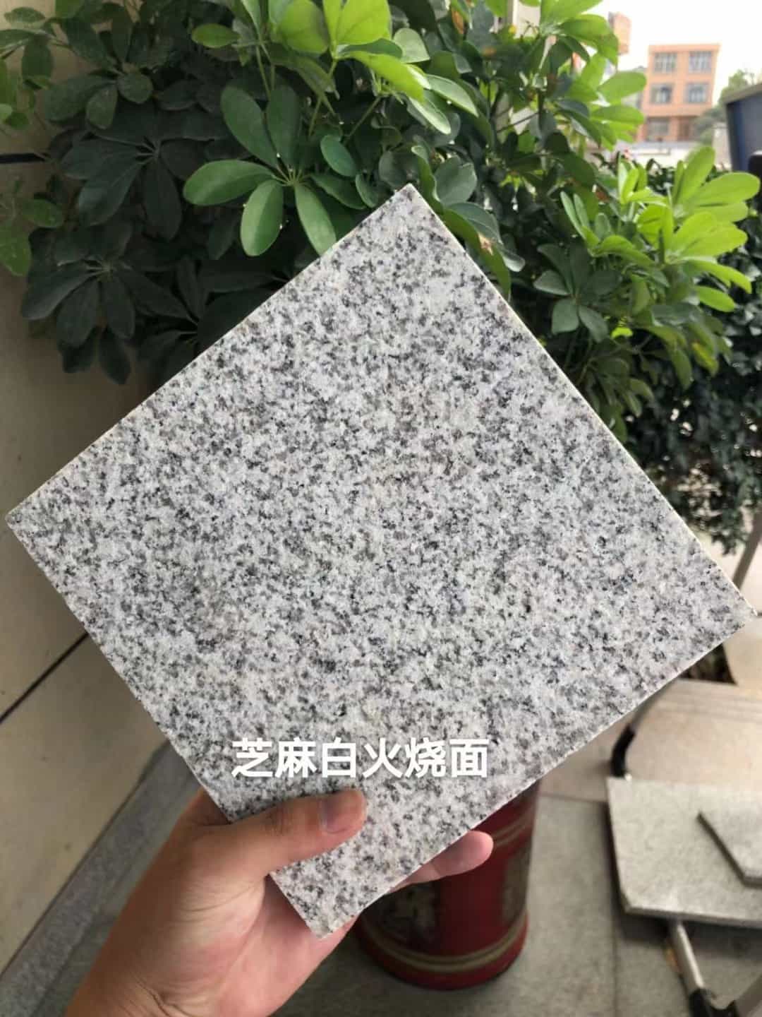 石家庄芝麻白火烧面地铺